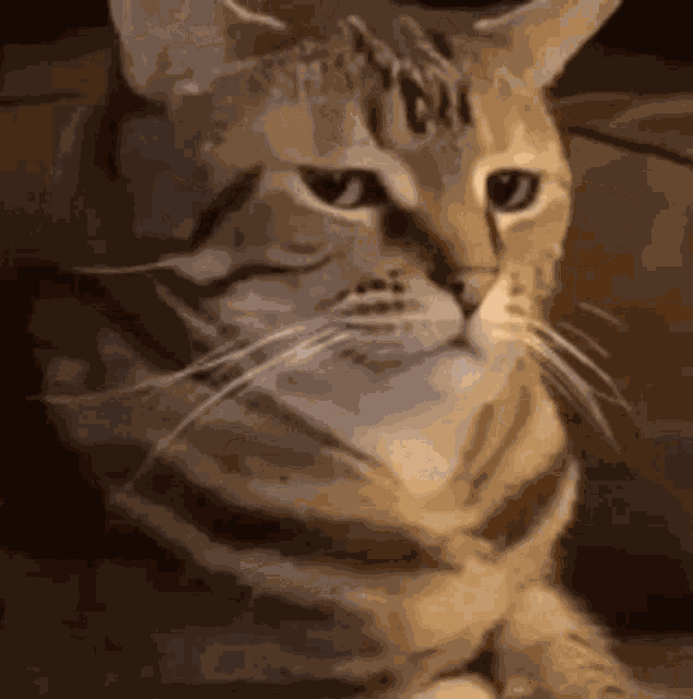 Animiertes GIF