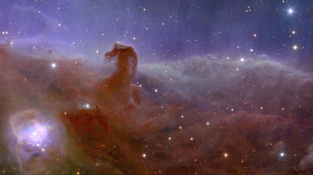 This image provided by the European Space Agency shows Euclid?s panoramic view of the Horsehead Nebula. The European Space Agency released Euclid?s first photos Tuesday, Nov. 7, 2023 four months after ...