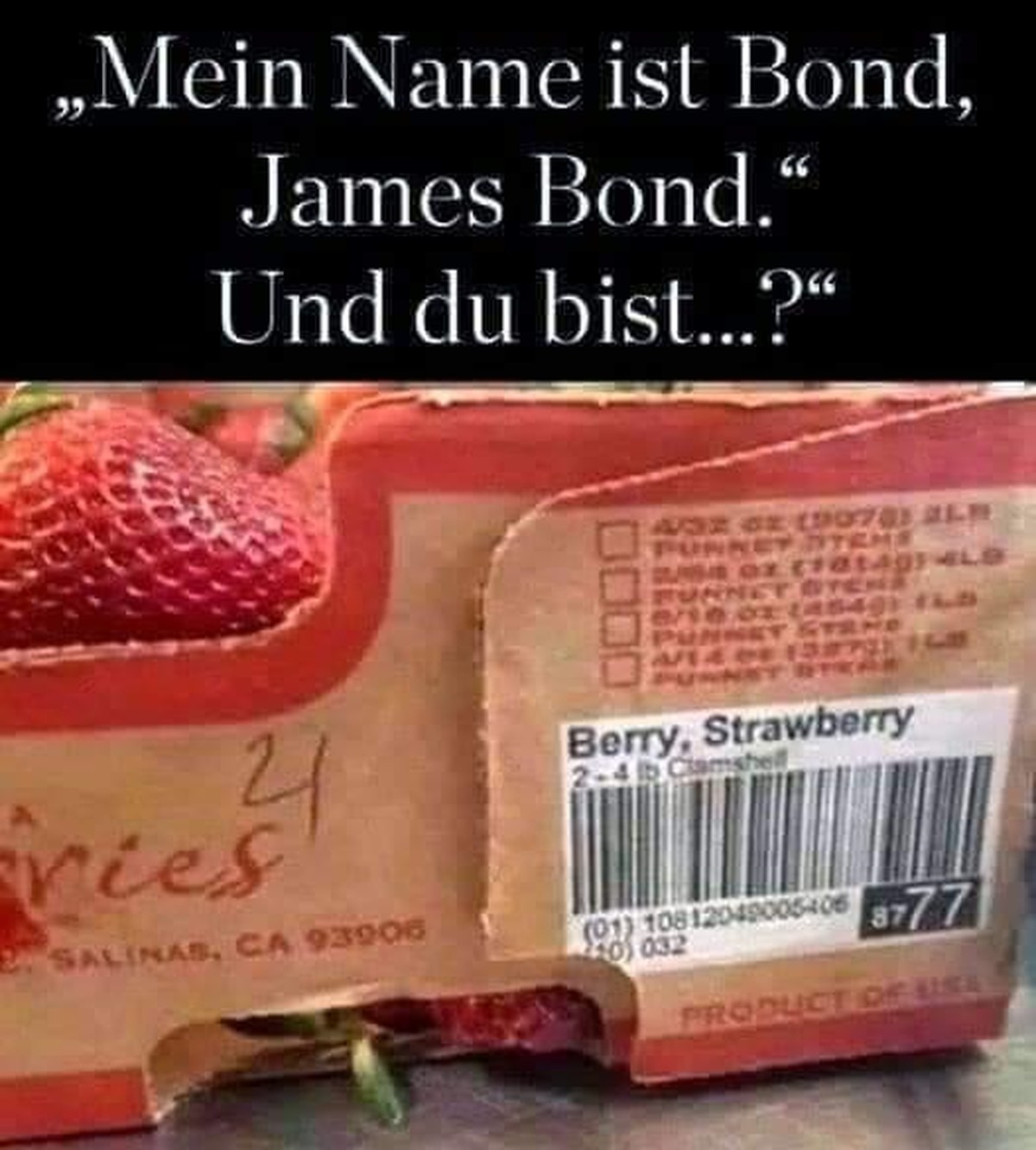 Bild