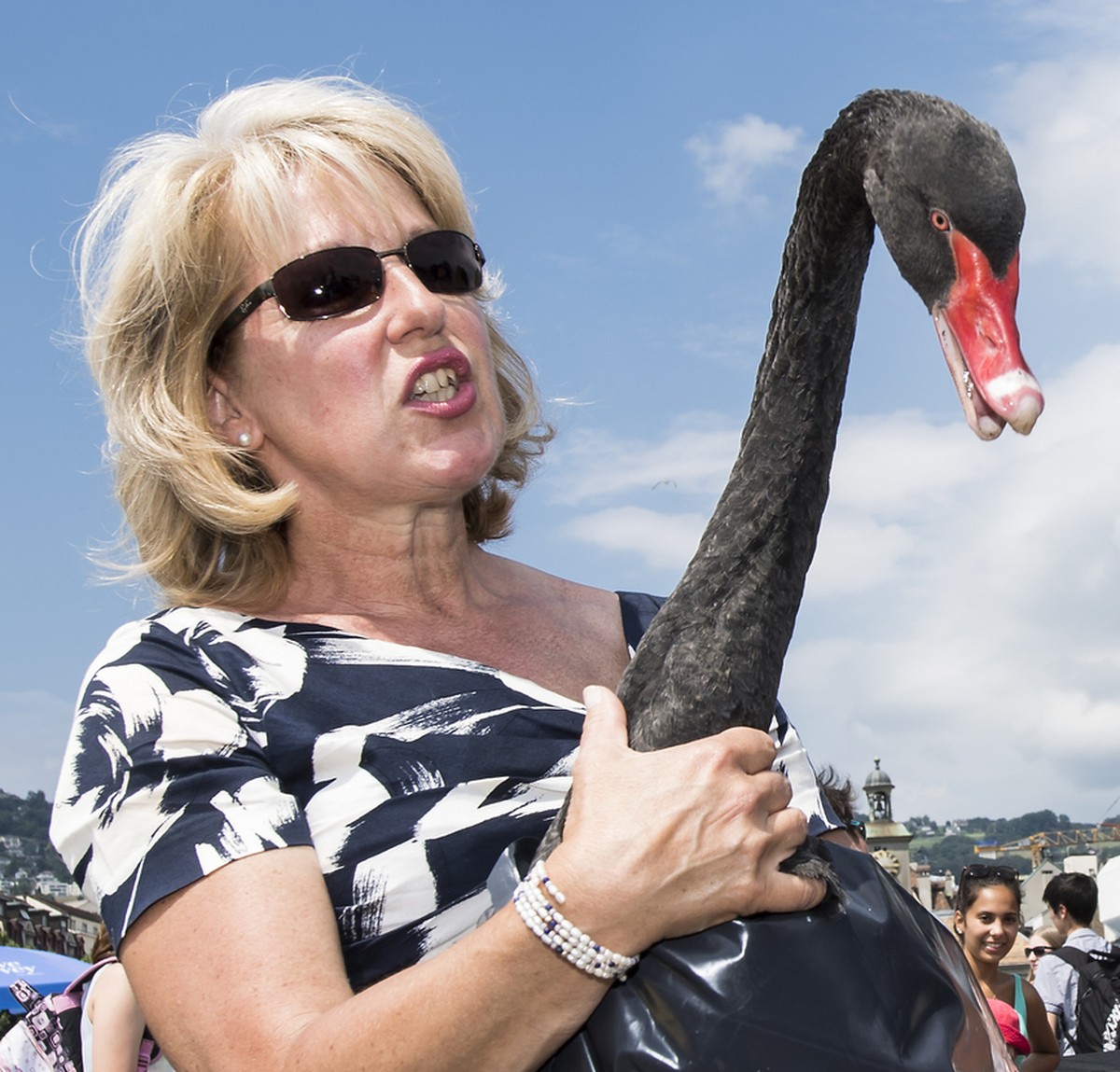 La conseillere d'Etat vaudoise Jacqueline de Quattro, procede a la remise en liberte du cygne noir "Nelson" d'origine australienne ce jeudi 30 juin 2016 au bord du lac Leman a Veve ...