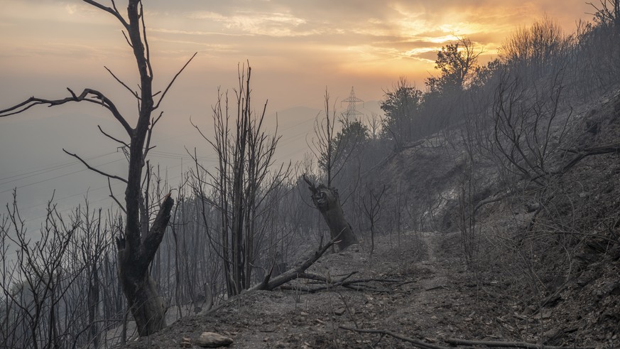 epa10077292 A burnt area near of the village O Barco de Valdeorras, Galicia, northwestern Spain, 18 July 2022. The forest fire has destroyed at least six houses and more than 2,400 hectares so far, an ...