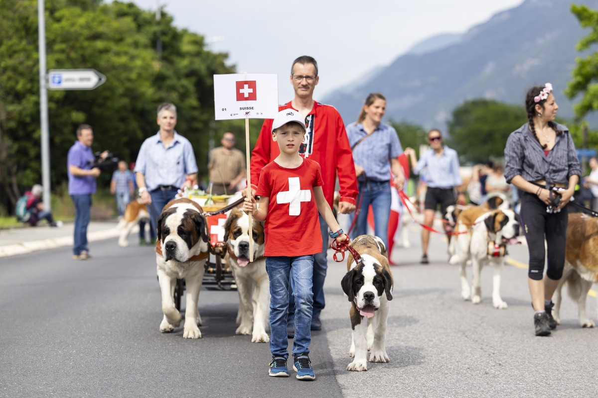epa11395928 Saint-Bernard dogs and their owners take part in a parade in the streets of Martigny, Switzerland, 07 June 2024. The WUSB, World Union of St Bernard Clubs, is organizing a competition whic ...