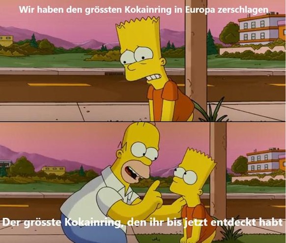 Spanische Polizei zerschlägt grössten Kokainschmugglerring Europas\n.