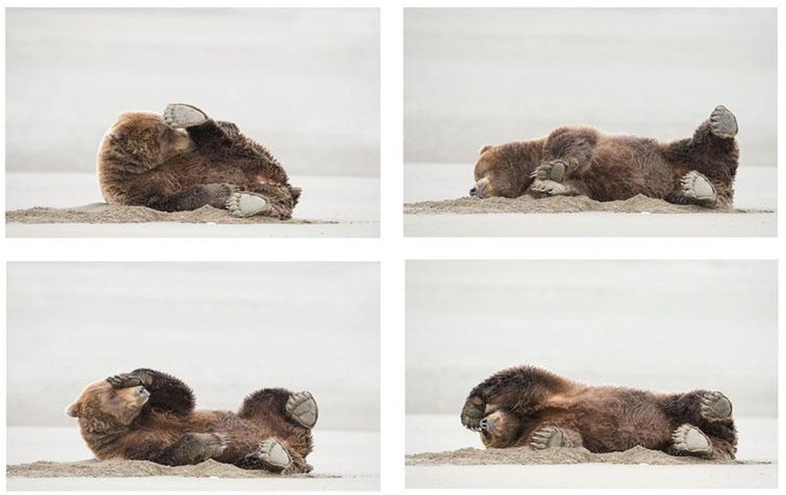 Das Bild heisst übrigens «Deadly Fart.»