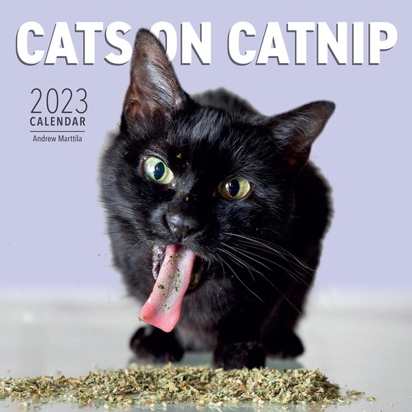 cats on catnip calendar 2023 https://www.amazon.com/Cats-Catnip-Wall-Calendar-2023/dp/152351566X