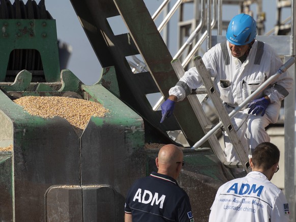 epa10118321 The unloading operations following the docking of the Rojen cargo ship in Ravenna, Italy, 13 August 2022. The ship left the port of Chornomorsk, near Odessa, Ukraine, on 05 August, carryin ...