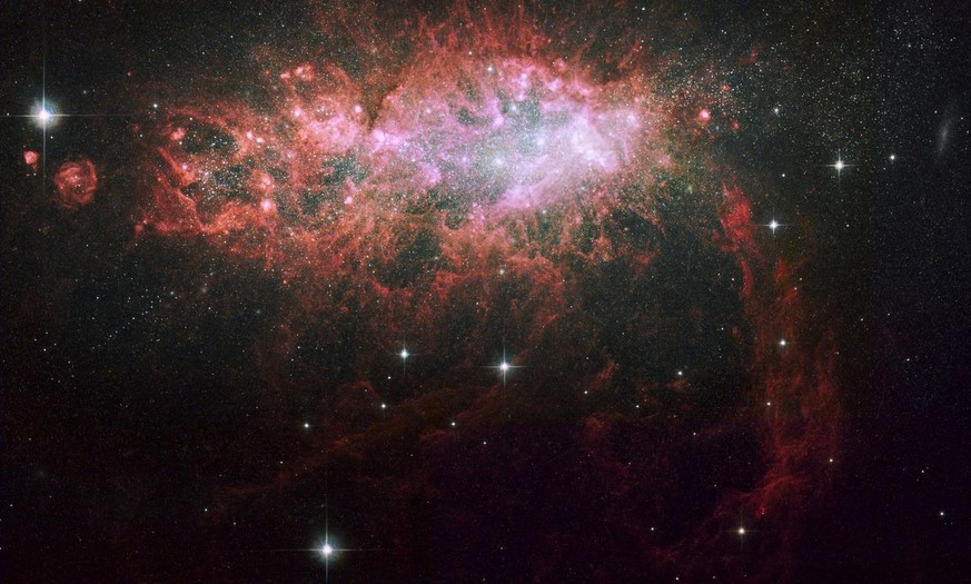 This image taken by NASA's Hubble Space Telescope and released Thursday Nov. 20, 2008 showcases the brilliant core of NGC 1569 one of the most active star making galaxies in our local neighborhood. Th ...