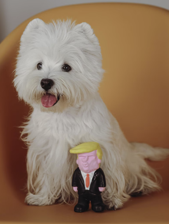 Lustiges Hundespielzeug: Donald Trump