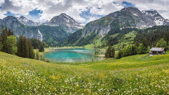 Biodiversität