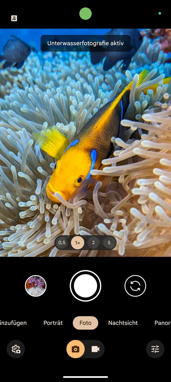 Mit dem Update soll die Pixel-Kamera-App verbesserte Unterwasserfotos und -videos produzieren.