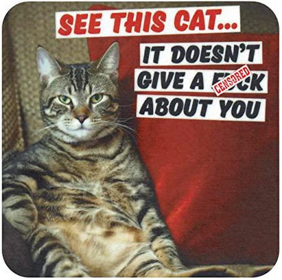 dean morris cat katzen don&#039;t give a fuck https://www.amazon.fr/See-This-Cat-Doesnt-Coaster/dp/B01C7MBNYK