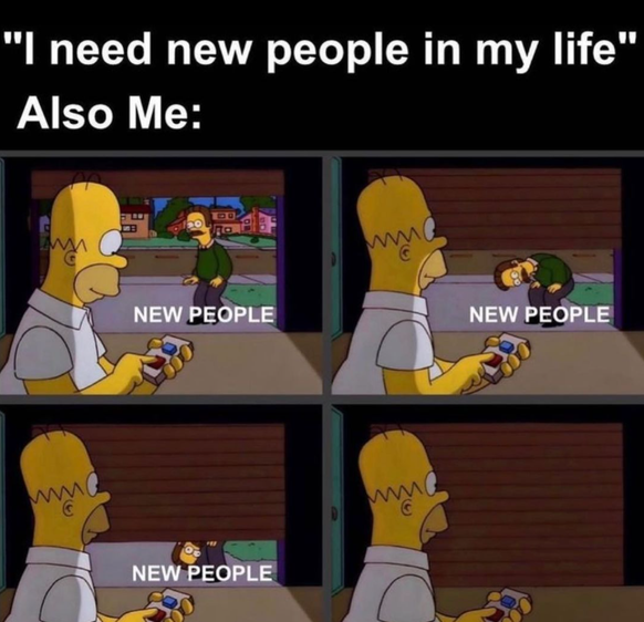 Memes für introvertierte Leute