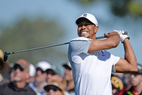 Tiger Woods will sich in Ruhe mit seiner Krise beschäftigen.