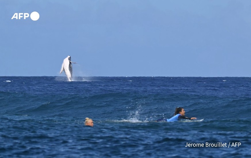 Ein Buckelwal im Hintergrund, die Surferinnen Tatiana Weston-Webb und Brisa Hennessy (r.) im Vordergrund.