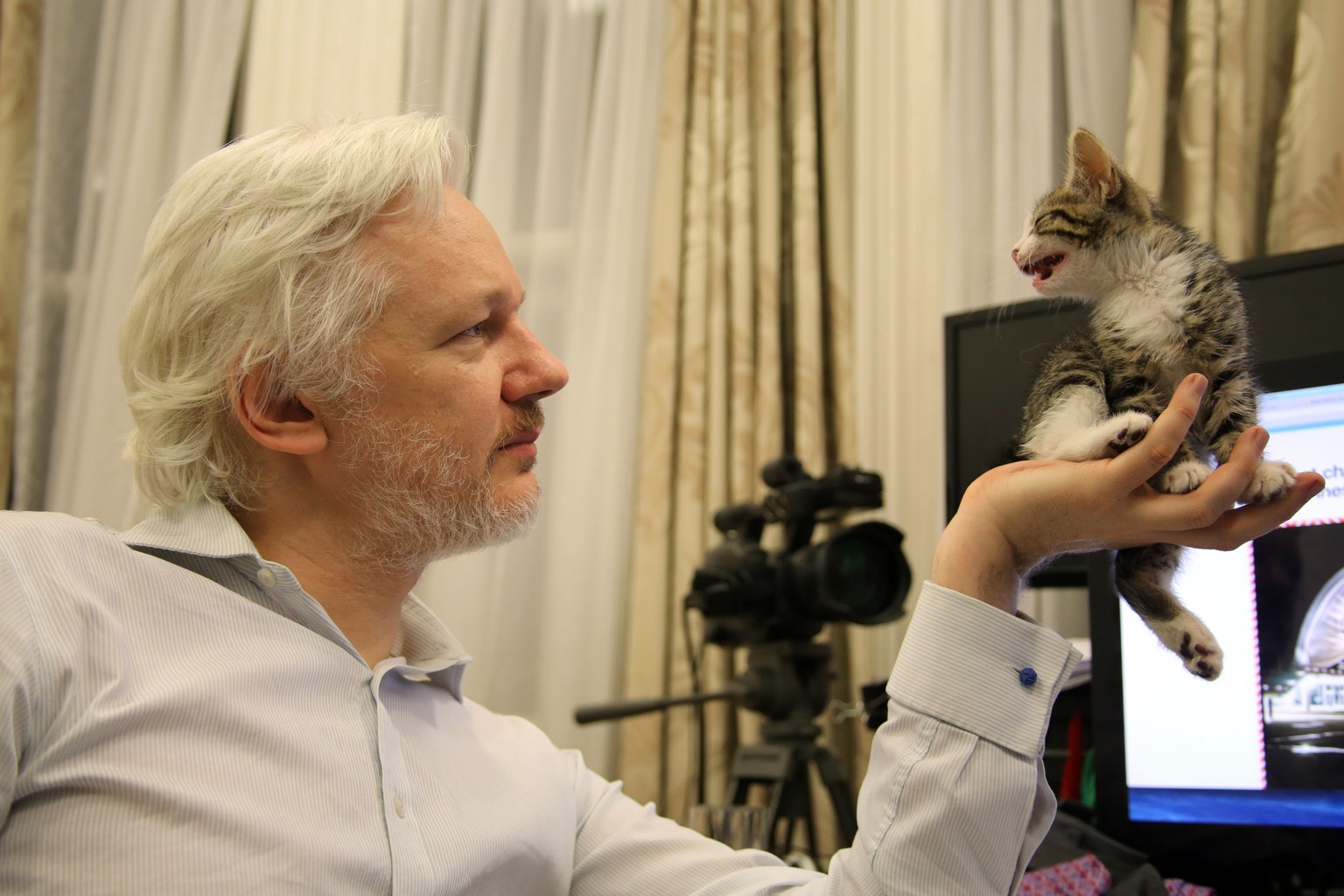 This is an undated handout photo issued by Sunshine Press made available Tuesday May 10, 2016 of WikiLeaks founder Julian Assange with a kitten in Ecuador&#039;s embassy in London . It may not be so l ...