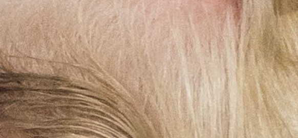 epa06558395 US President Donald J. Trump pretends to fix his hair as he addresses the 45th annual Conservative Political Action Conference (CPAC) at the Gaylord National Resort & Convention Center ...
