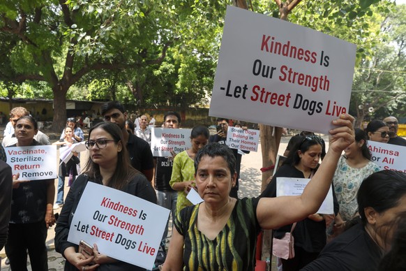 epa12314191 People protest in solidarity with stray dogs in New Delhi, India, 21 August 2025. On 11 August, the Supreme Court ordered that localities in Delhi, Noida, Ghaziabad, Gurugram and Faridabad ...
