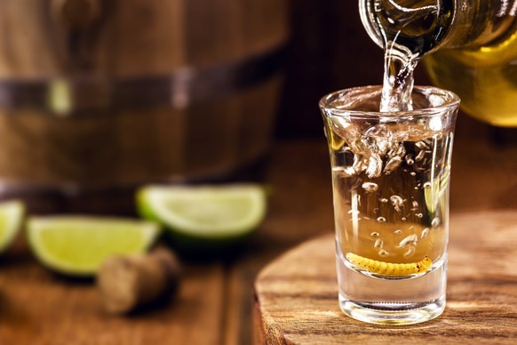 Researchers use DNA analysis to identify the “worm” in Mezcal