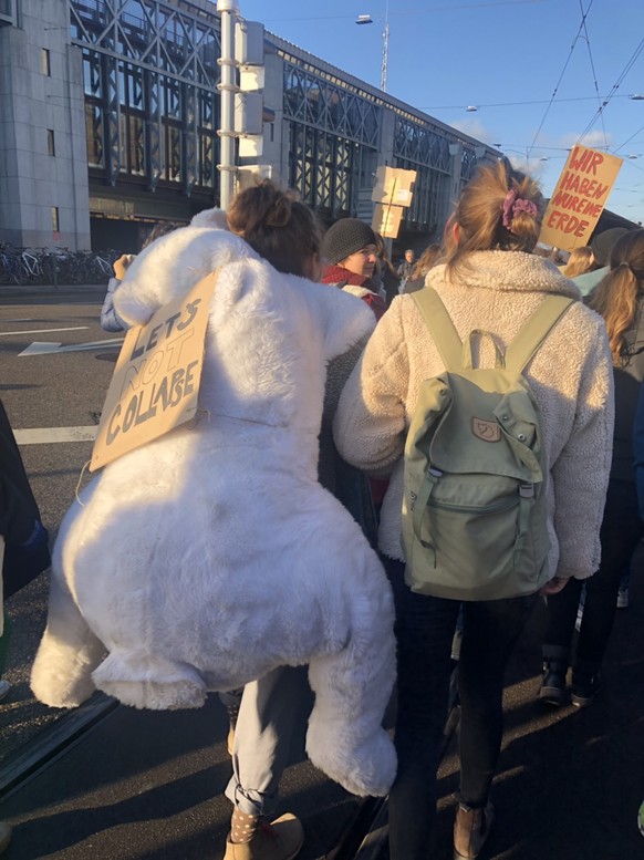 klimastreik zÃ¼rich 18. januar