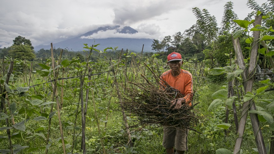 epa06360497 A Balinese farmer works on a farm as Mount Agung volcano spews hot volcanic ash, in Karangasem, Bali, Indonesia, 01 December 2017. According to media reports, the Indonesian national board ...