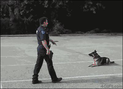 Animiertes GIF