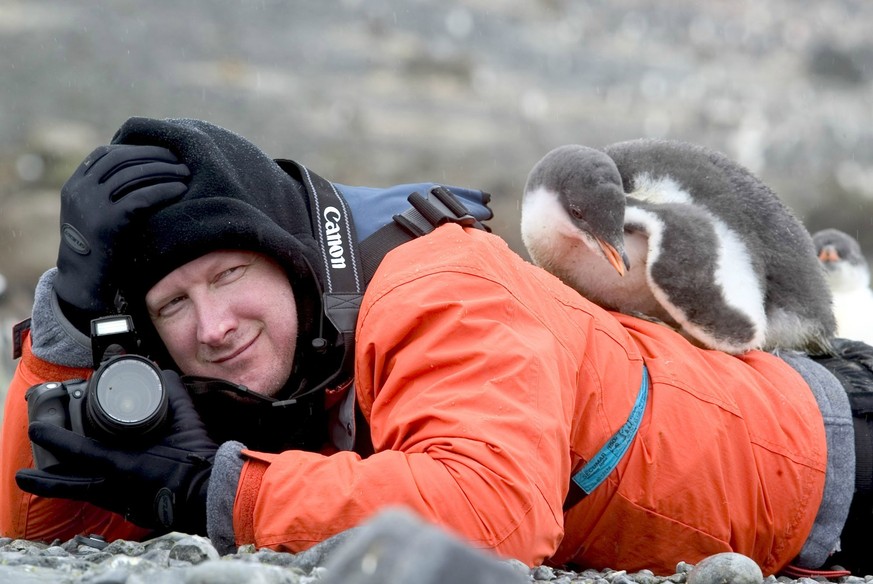 cute news tier pinguin

https://imgur.com/me-trying-to-photograph-penguin-ofqdF