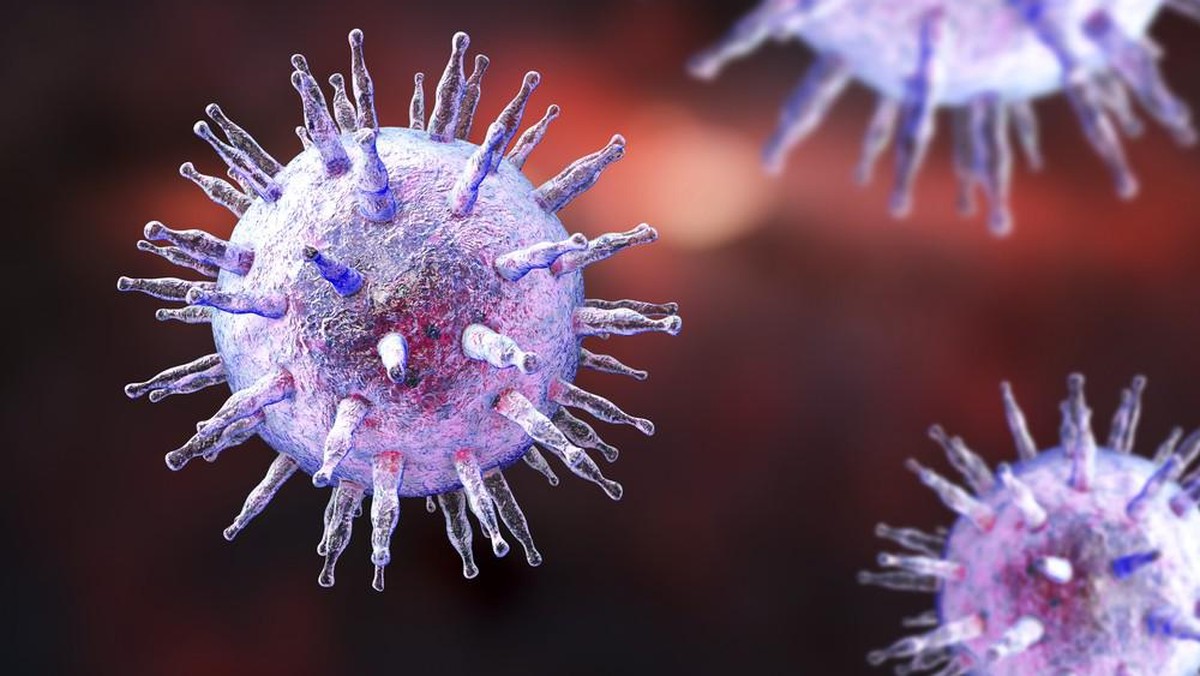 Epstein-Barr-Virus (EBV)
