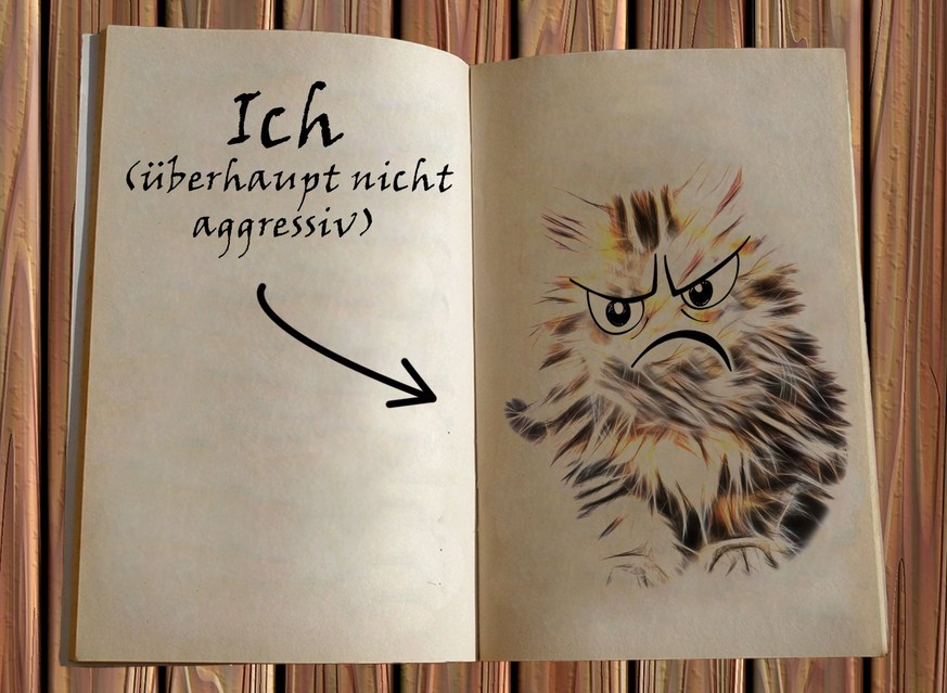«Liebes Tagebuch, ICH BIN NICHT AGGRESSIV!!!»