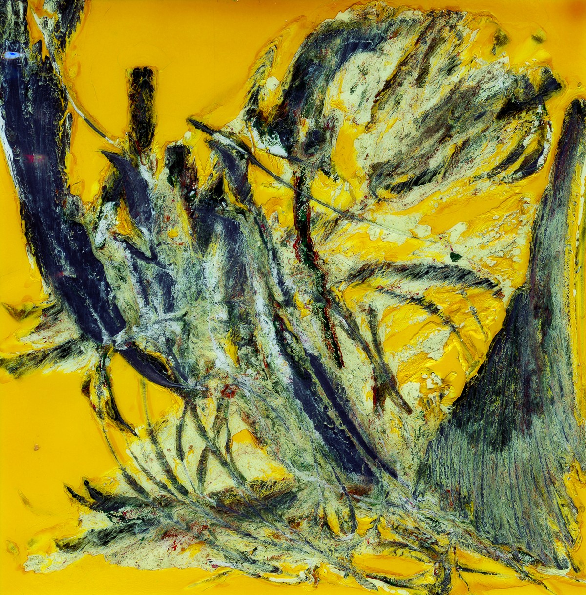 Keine Ahnung, was ursprünglich auf diesem Polaroid von 1986 war, nach Gigers Attacke ist es eine abstrakte Symphonie in Schwarz auf Gelb. 