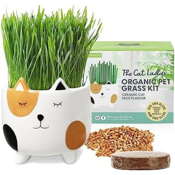 Weihnachtsgeschenke für Katzen