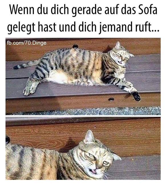 PICDUMP 395 – Zeit für einen Tapetenwechsel. Hö hö. Hö.\nde hass 😑