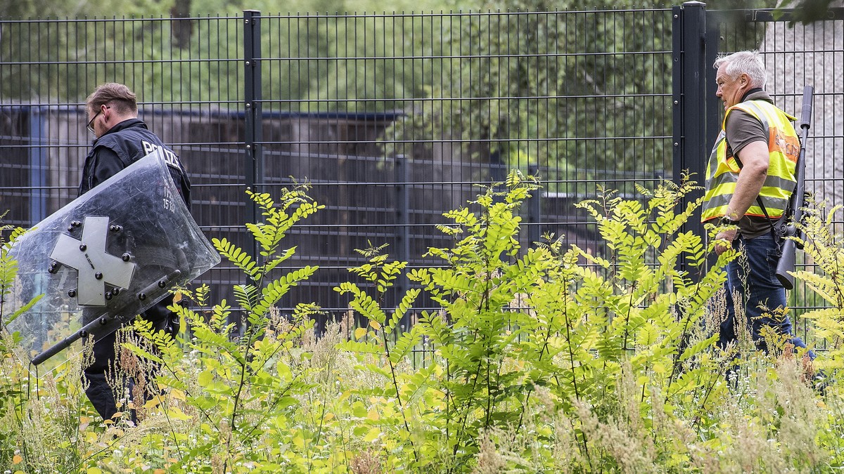 epa10759528 A police officer and a community hunter (R) patrol during the continued search for an escaped lion at the Zehlendorf district of Berlin, Germany, 21 July 2023. German authorities warned pe ...