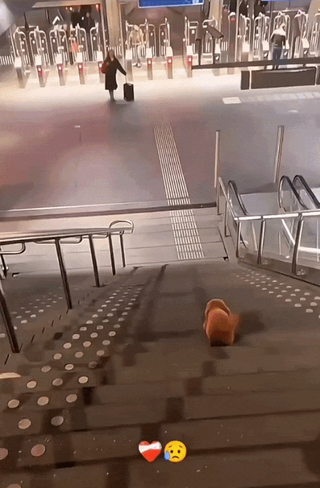 Animiertes GIF