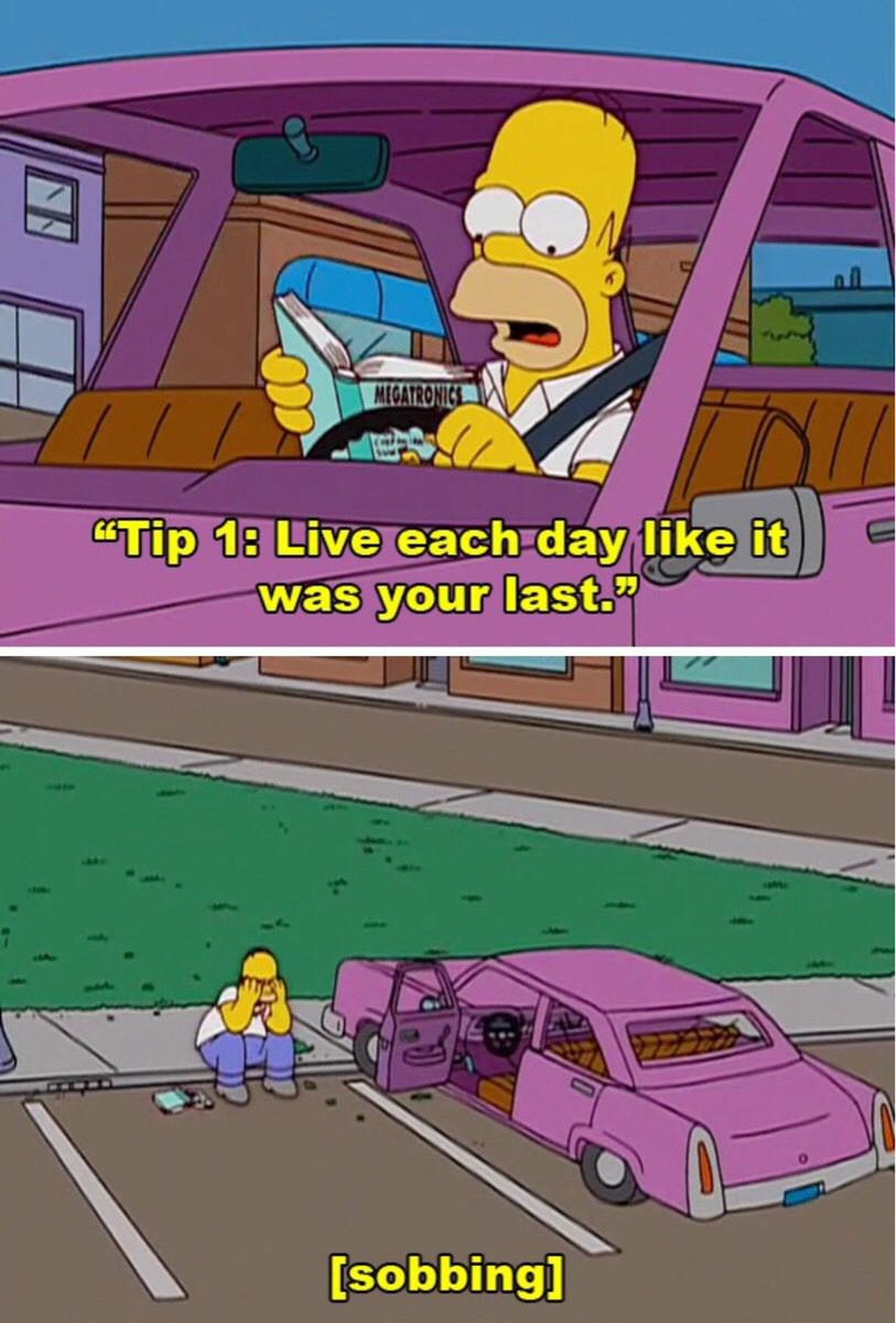 homer's last day