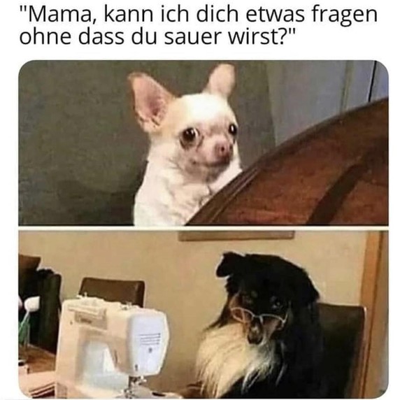 Gratuliere! Du hast mich gefunden. LG Picdump ЁЯда
ЁЯШ░