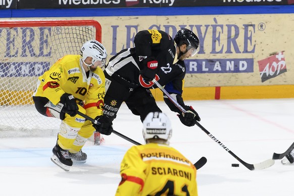 Gotterons Mauro Joerg, rechts, schiesst ein Tor gegen Berns Tristan Scherwey, links, beim Eishockey Meisterschaftsspiel der National League A zwischen den HC Fribourg Gotteron und dem SC Bern, am Dien ...