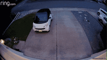 Animiertes GIF