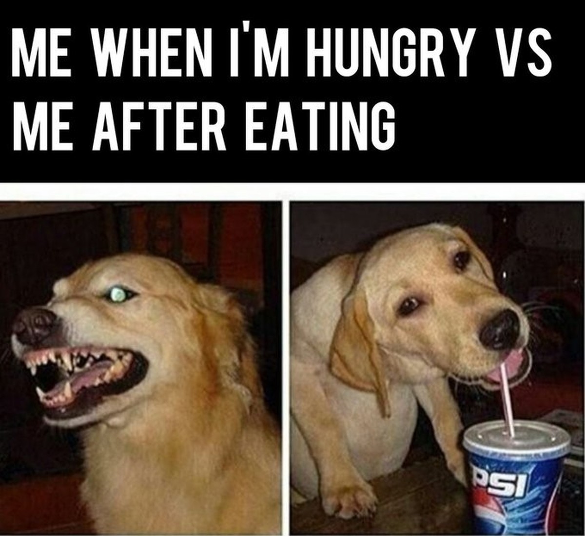 Hangry Meme