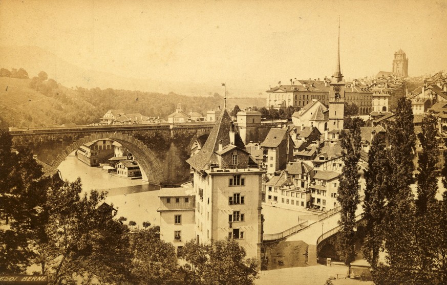 1880: Blick vom Rosengarten.