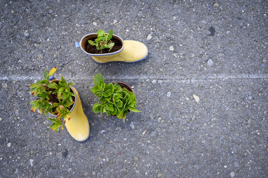 Gummistiefel umfunktioniert zu einem Blumentopf, fotografiert am ersten Klimafestival der Schweiz auf der Hardturmbrache in Zuerich, am Samstag, 3. August 2019. (KEYSTONE/Melanie Duchene)