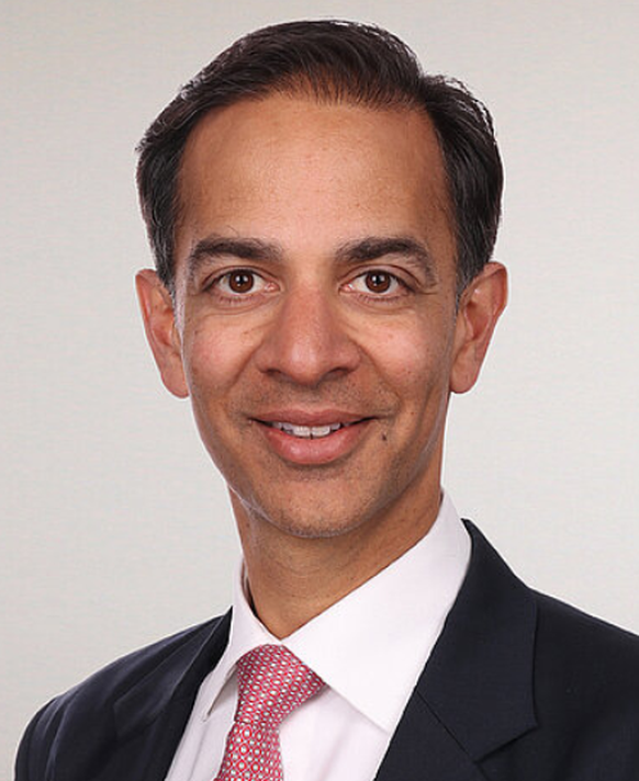 rahul sahgal, ceo schweizerisch amerikanische handelskammer