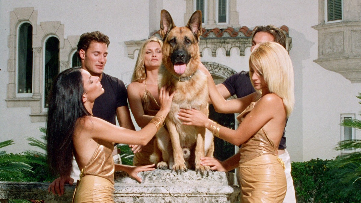 Gunther gehören 400 Millionen das ist die wahre Geschichte dahinter