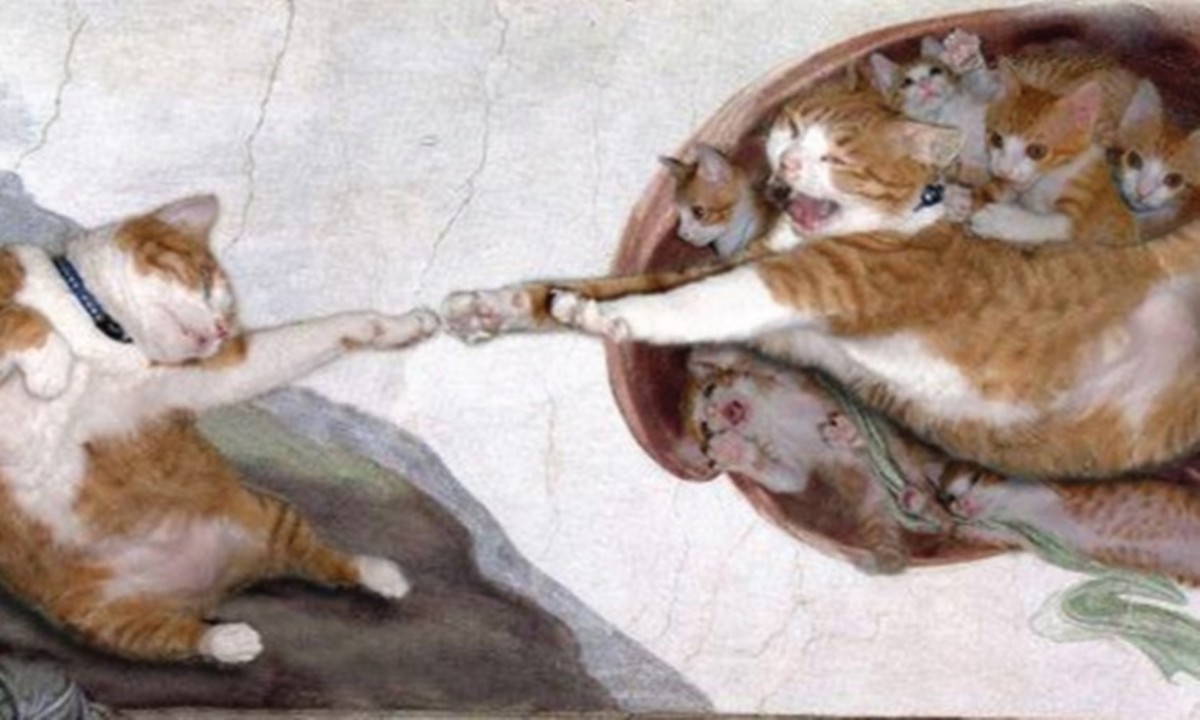 Die ganze Wahrheit: Adam = Katze, Gott = Katze.