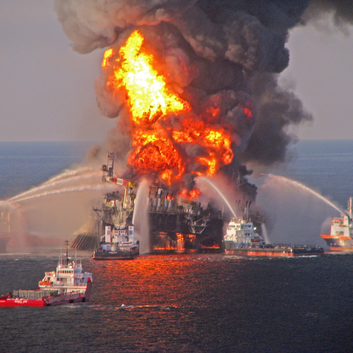 Nach Deepwater-Horizon: Neu entdeckte Mikrobenart säubert Golf von Mexiko