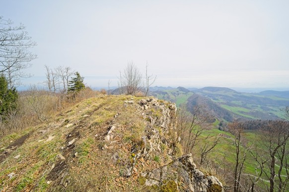Vogelberg Solothurn Beste Frühlingswanderungen Schweiz