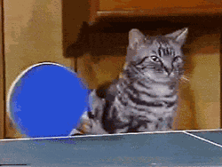 Animiertes GIF