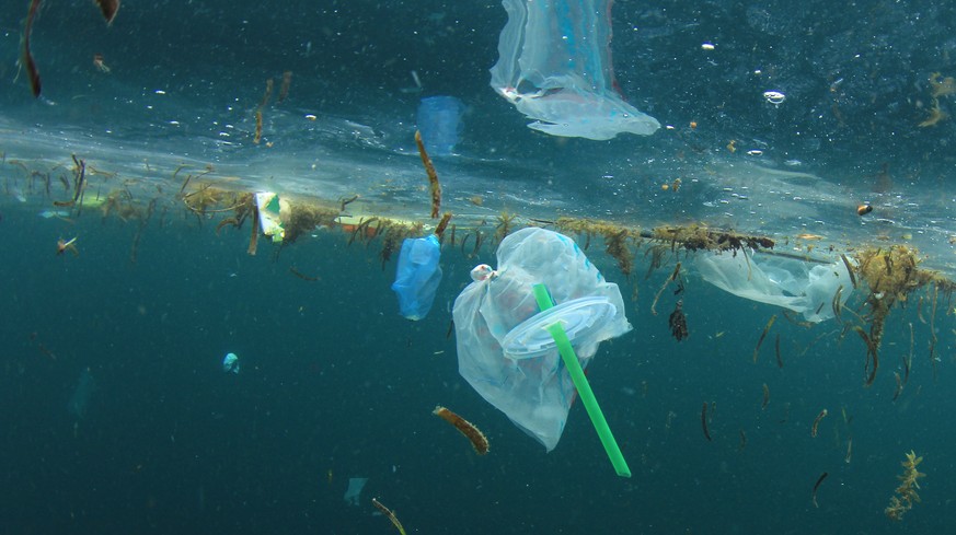 Der Kampf gegen den Plastikmüll nimmt zu – eine dieser 8 Massnahmen könnte es richten