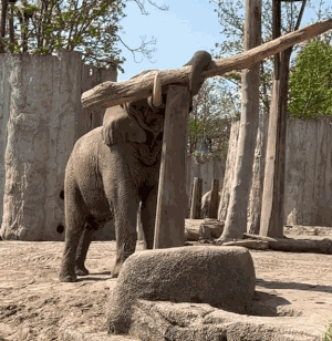 Animiertes GIF