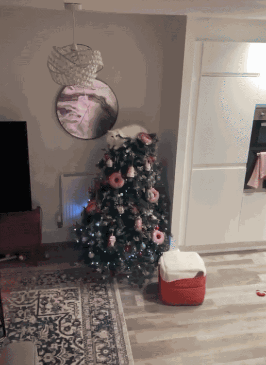 Animiertes GIF