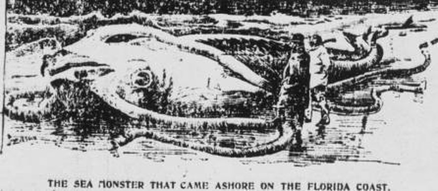 Eine fantasievolle Darstellung des „Seeungeheuers“ von Florida, veröffentlicht in der Zeitung Pennsylvania Grit.